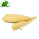 Corn mini 125g