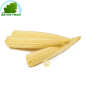 Corn mini 125g - FRESH