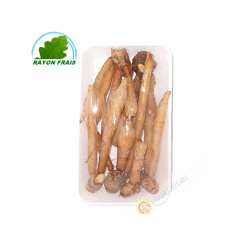 Gian dai Thailande 100g- FRAIS