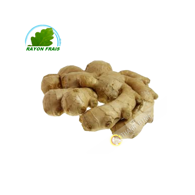 Gingembre Bresil 300g- FRAIS