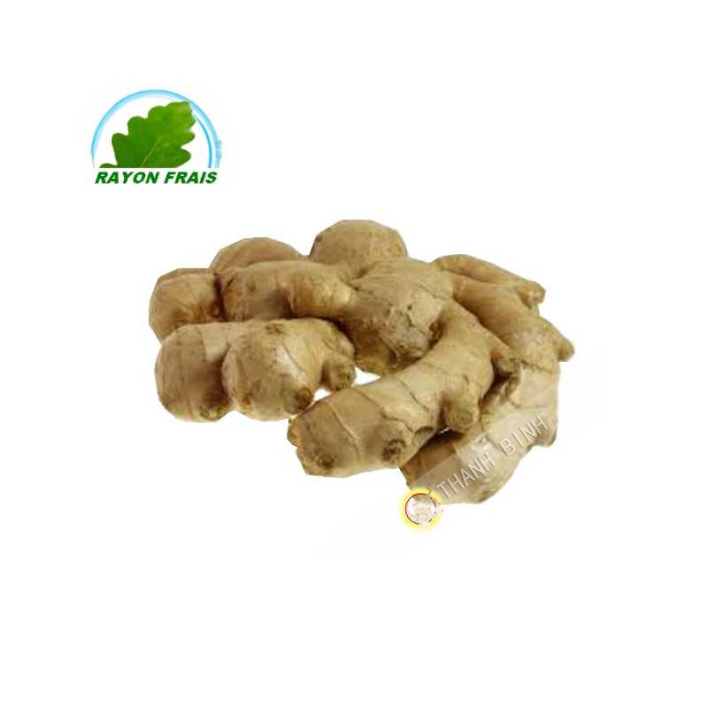 Ginger (kg)