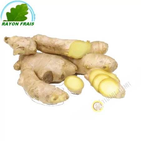 Gingembre Bresil 300g- FRAIS