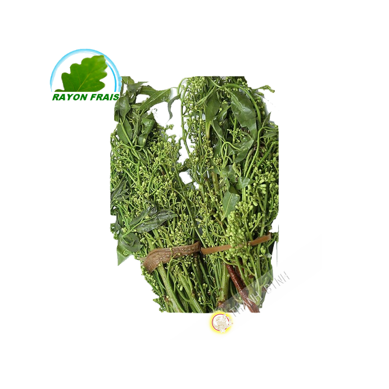 Its dao Vietnam 100g - FRESH