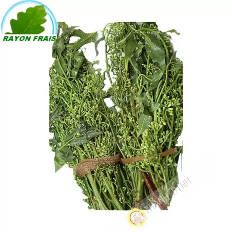 Seine dao-Vietnam 100g - TARIF