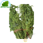 Its dao Vietnam 100g - FRESH