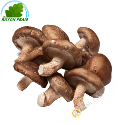 Shiitake France 200g- FRAIS