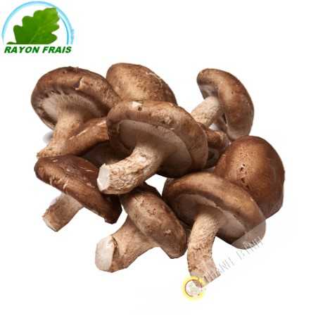 Shiitake France 200g - FRESH