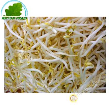 Soja frais 500g
