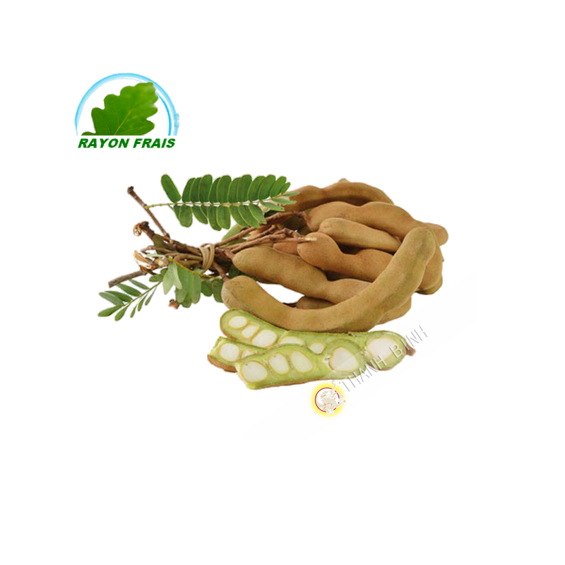 Tamarindo verde 100g (bandeja)- COSTOS de