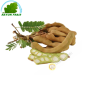Tamarindo verde 100g (bandeja)- COSTOS de