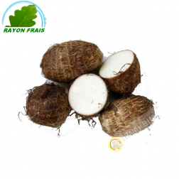 Taro Costa Rica (room)- COST - Approx. 140g