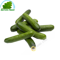 Concombre mini Hollande (pièce)- FRAIS - Env. 100g