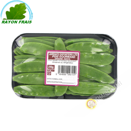 Mangetout Kenia (trays)- KOSTEN