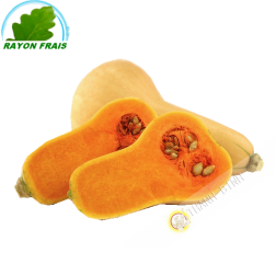 Butternut Francia (camera)- COSTO - Ca. 900g