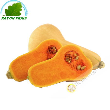 Butternut Francia (camera)- COSTO - Ca. 900g