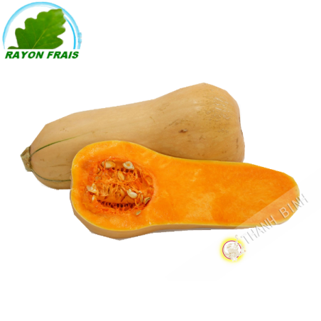 Butternut France (room)- COST - Approx. 900g