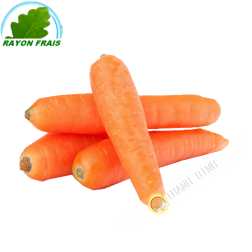 Carota (kg)