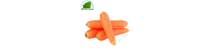 Carrot France 800g - FEE