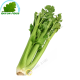 Celeri branch (kg)