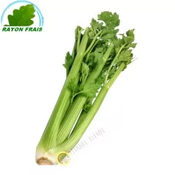 Celeri branche (kg)