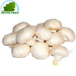 White fungus