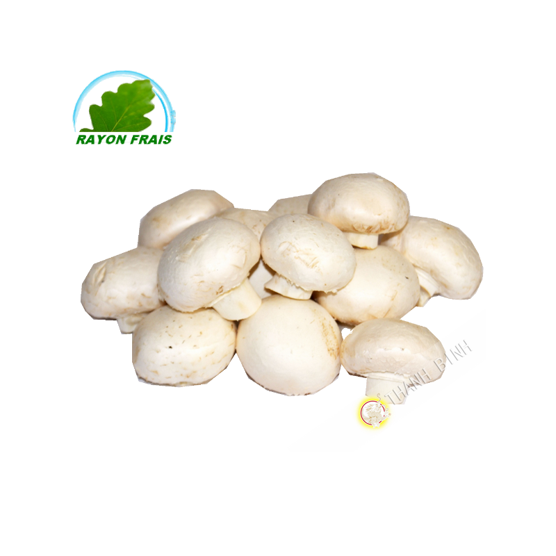 White fungus Poland 500g - FRESH