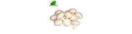 Champignon blanc Pologne 500g- FRAIS