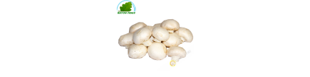 Weiße champignons Polen 500g - TARIF