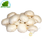 Champignon blanc Pologne 500g- FRAIS