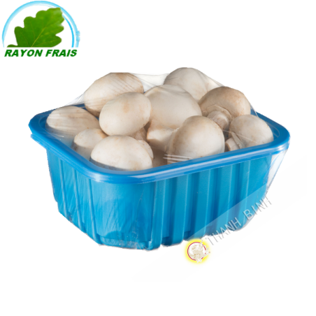 Fungo bianco Polonia 500g - FRESCO