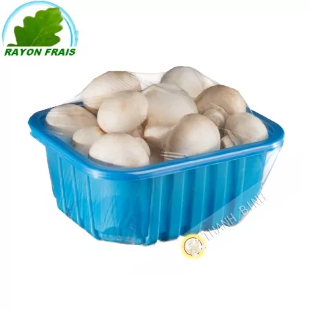 Nấm trắng  500g- Tươi