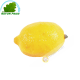 Lemon-yellow (kg)