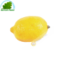 Citron jaune Espagne GM (3pcs)- FRAIS