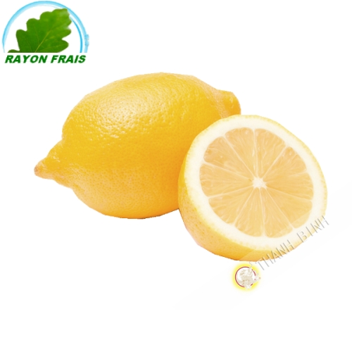 Citron jaune Espagne GM (3pcs)- FRAIS