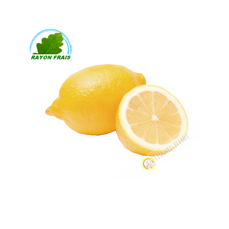 Citron jaune Espagne GM (3pcs)- FRAIS