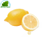 Citron jaune Espagne GM (3pcs)- FRAIS