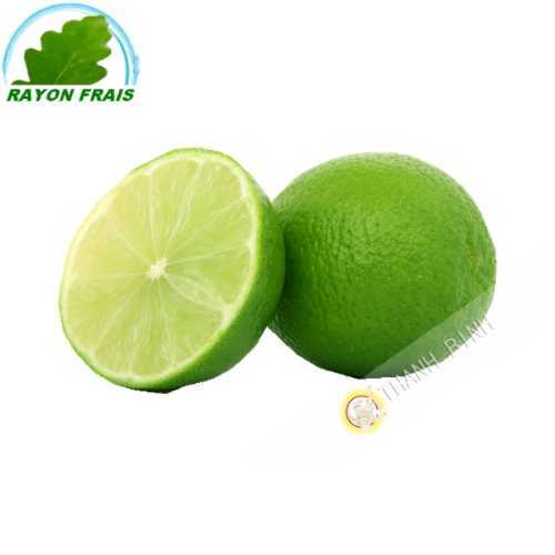 Citron vert (kg)