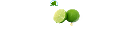 Limón verde Brasil (3pcs)- COSTOS de