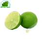 Limone verde Brasile (3pcs)- COSTI