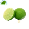 Citron vert Bresil (3pcs)- FRAIS