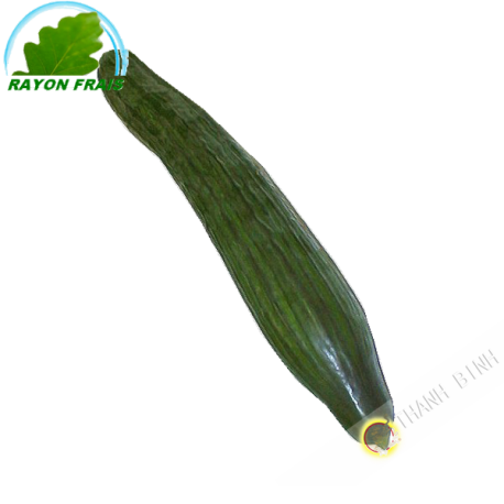 Cucumber (piece)