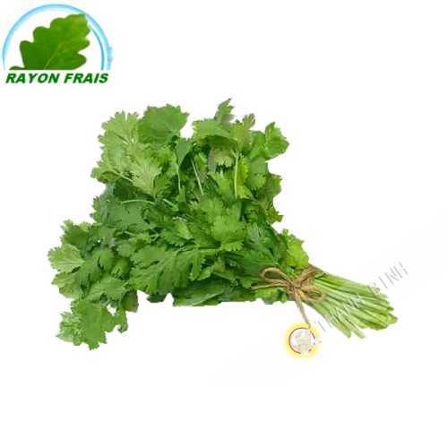 Coriander-Ngo ri (part)- COSTS