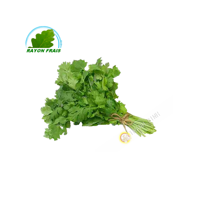 Coriandre Ngo ri 100g (pièce)- FRAIS