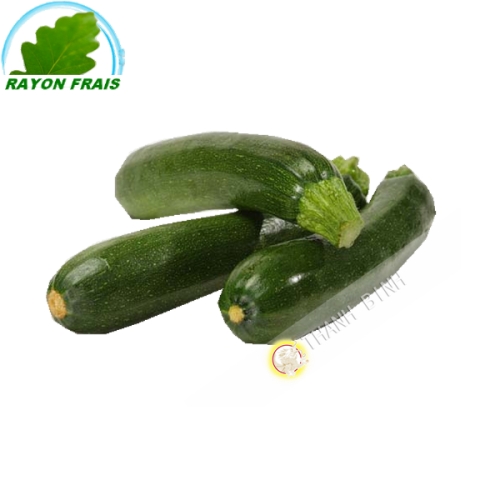 Zucchine Spagna (1kg)- FRESCO