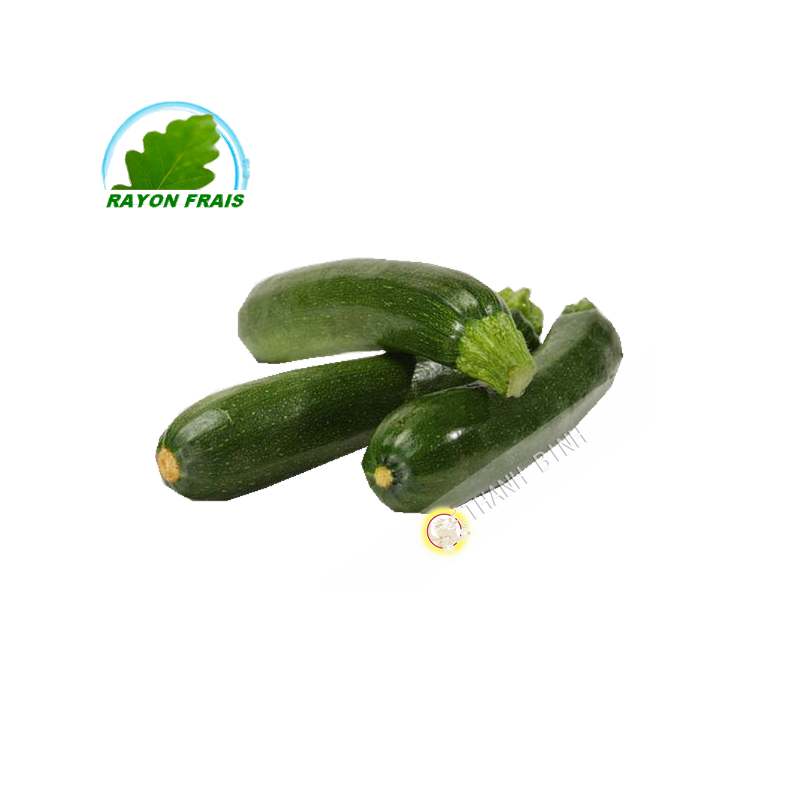 Zucchine Spagna (1kg)- FRESCO