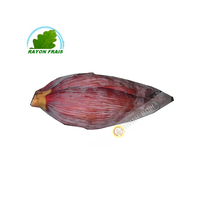 Flor de plátano (kg)
