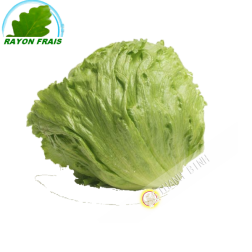 Iceberg (part)