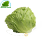 Iceberg Espagne (pièce)- FRAIS