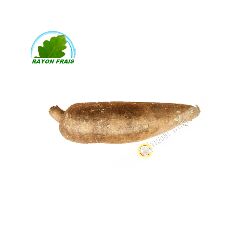 Khoai mỳ ( sắn ) ( củ khoảng 500g ) Tươi