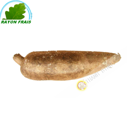 Khoai mỳ ( sắn ) ( củ khoảng 500g ) Tươi